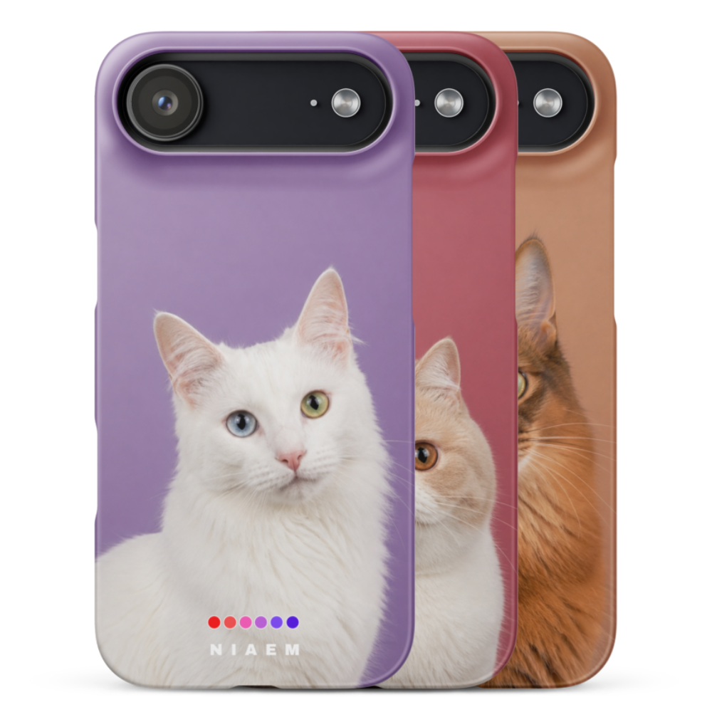 How to Choose the Perfect iPhone Case (Style, Protection & Fit Guide ...
