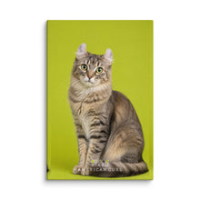 Load image into Gallery viewer, Product mockup
