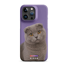 Load image into Gallery viewer, Product mockup