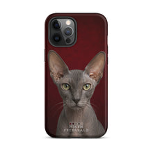Load image into Gallery viewer, Product mockup