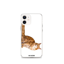 Load image into Gallery viewer, maine coon cat breeders