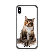 Load image into Gallery viewer, maine coon kitten sale