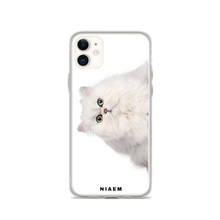 Load image into Gallery viewer, persian cat rescue