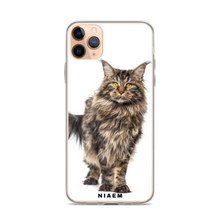 Load image into Gallery viewer, maine coon kittens for sale near me