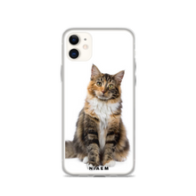 Load image into Gallery viewer, maine coon kittens nc