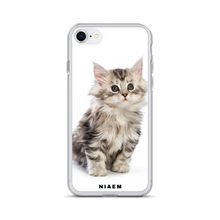 Load image into Gallery viewer, maine coon price