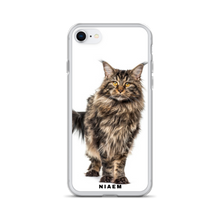 Load image into Gallery viewer, maine coon for sale