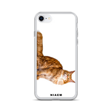 Load image into Gallery viewer, maine coon for sale