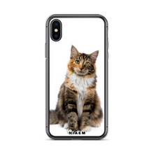 Load image into Gallery viewer, maine coon for sale