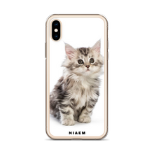 Load image into Gallery viewer, maine coon.kittens for sale