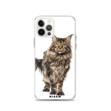 Load image into Gallery viewer, maine coon size