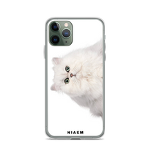 Load image into Gallery viewer, persian cat personality