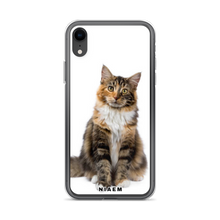 Load image into Gallery viewer, maine coon kittens sale