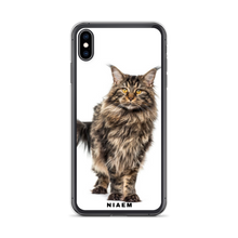 Load image into Gallery viewer, maine coon kitten sale