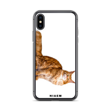 Load image into Gallery viewer, maine coon.kittens for sale