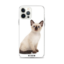 Load image into Gallery viewer, siamese cats near me