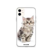 Load image into Gallery viewer, maine coon rescue nc