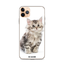 Load image into Gallery viewer, maine coon kittens for sale near me