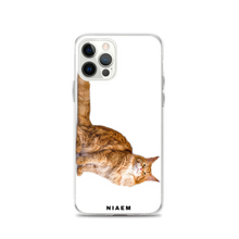 Load image into Gallery viewer, maine coon size