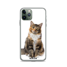 Load image into Gallery viewer, maine coon rescue nc