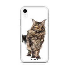 Load image into Gallery viewer, maine coon cat for sale