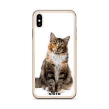 Load image into Gallery viewer, maine coon kitten for sale