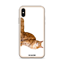 Load image into Gallery viewer, maine coon kittens sale