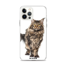 Load image into Gallery viewer, black maine coon