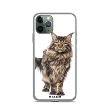 Load image into Gallery viewer, maine coon cost