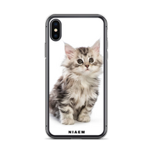 Load image into Gallery viewer, maine coon for sale