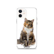 Load image into Gallery viewer, maine coon kittens for sale near me