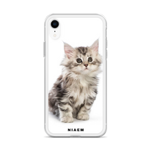 Load image into Gallery viewer, maine coon cat for sale