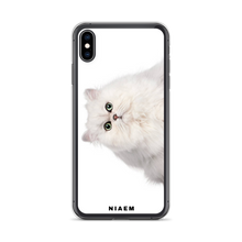 Load image into Gallery viewer, cat for sale persian