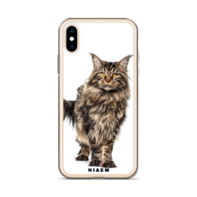Load image into Gallery viewer, maine coon.kittens for sale