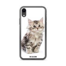 Load image into Gallery viewer, maine coon kittens sale