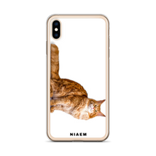 Load image into Gallery viewer, maine coon kitten for sale