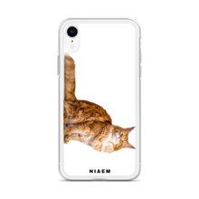 Load image into Gallery viewer, maine coon cat for sale