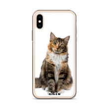 Load image into Gallery viewer, maine coon.kittens for sale