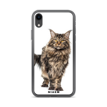 Load image into Gallery viewer, maine coon kittens sale
