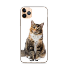 Load image into Gallery viewer, maine coon cost