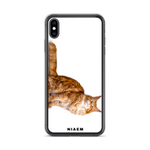 Load image into Gallery viewer, maine coon kitten sale