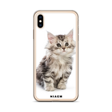 Load image into Gallery viewer, maine coon kitten for sale