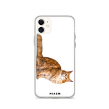 Load image into Gallery viewer, maine coon rescue nc