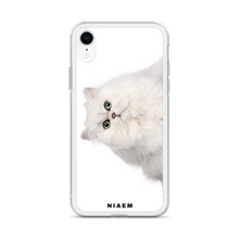 Load image into Gallery viewer, cat persian for sale