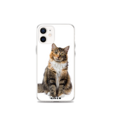 Load image into Gallery viewer, maine coon rescue