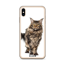 Load image into Gallery viewer, maine coon kitten for sale