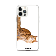 Load image into Gallery viewer, black maine coon