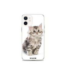 Load image into Gallery viewer, maine coon cat breeders