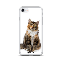 Load image into Gallery viewer, maine coon price