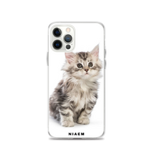 Load image into Gallery viewer, maine coon size